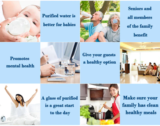 2x 8 Stage Fluoride Reduction Filter Replacement Cartridges Appliances > Kitchen Appliances