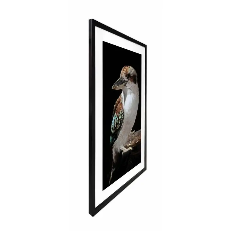 australian wildlife wall decor framed art