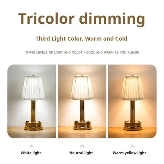 Silver Creative Led Rechargeable Table Lamp | 3 Adjustable Light Modes | Touch Control | Usb Charging | Modern