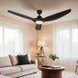 64 Inch Ceiling Fan Dc Motor W/light W/remote - Black