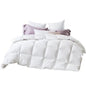 80% Goose Down 20% Feather Quilt - Double