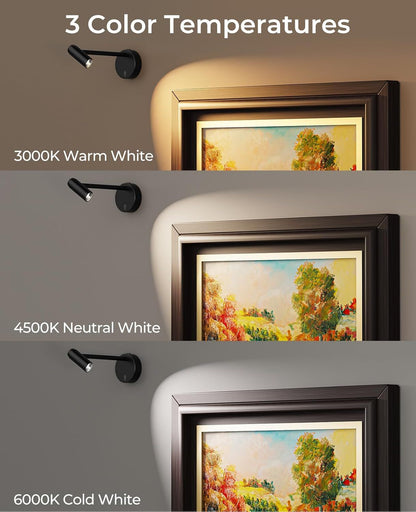 Picture Light for Wall, Battery Operated Art Light for Paintings CCT Dimmable Recharging Gallery Battery Wall Light with Remote Control for Living Room Gallery Dartboard Art Bathroom 2PCS