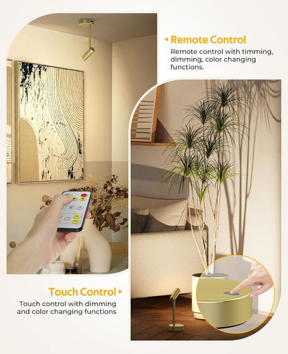 Picture Light for Wall, Battery Operated Art Light for Paintings CCT Dimmable Recharging Gallery Battery Wall Light with Remote Control for Living Room Gallery Dartboard Art Bathroom Gold