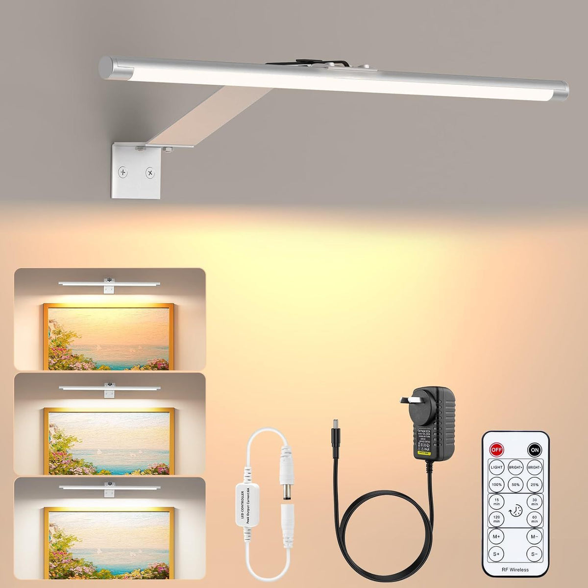 Picture Lights for Wall Plug in or Hardwired,3000K Warm White Dart Board Lights with Remote,13.5inches Silver LED Art Light Dimmbare mit Timer for Gallery Paintings Picture Dartboard