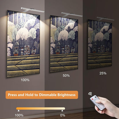 Picture Lights for Wall Plug in or Hardwired,3000K Warm White Dart Board Lights with Remote,13.5inches Silver LED Art Light Dimmbare mit Timer for Gallery Paintings Picture Dartboard