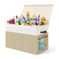 CARLA HOME Large Toy Storage Box with Lid Upgraded Toy Storage Chest Organiser