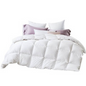 80% Goose Down 20% Goose Feather Quilt - Double - Home & Garden > Bedding > Quilts & Duvets