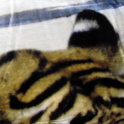 800GSM Luxury Reversible Animal Pattern Mink Blanket Queen 200 x 240 cm Three Tigers Blue