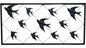 Flock Of Birds Metal Wall Art 122x63cm
