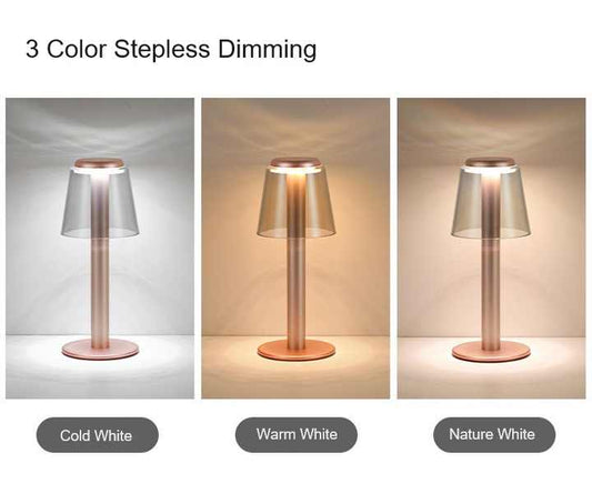 Silver Stylish Transparent Desk Lamp with Touch Control LED Type-C Charging - Simple and Modern Design - Home & Garden