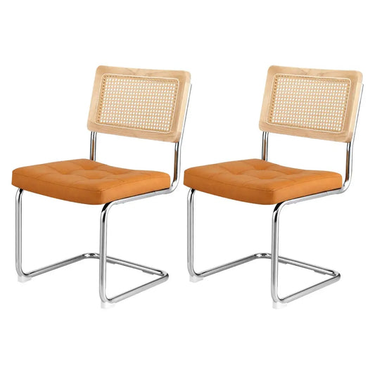 Dining Chairs Set of 2 Pu Leather Rattan Cantilever Brown