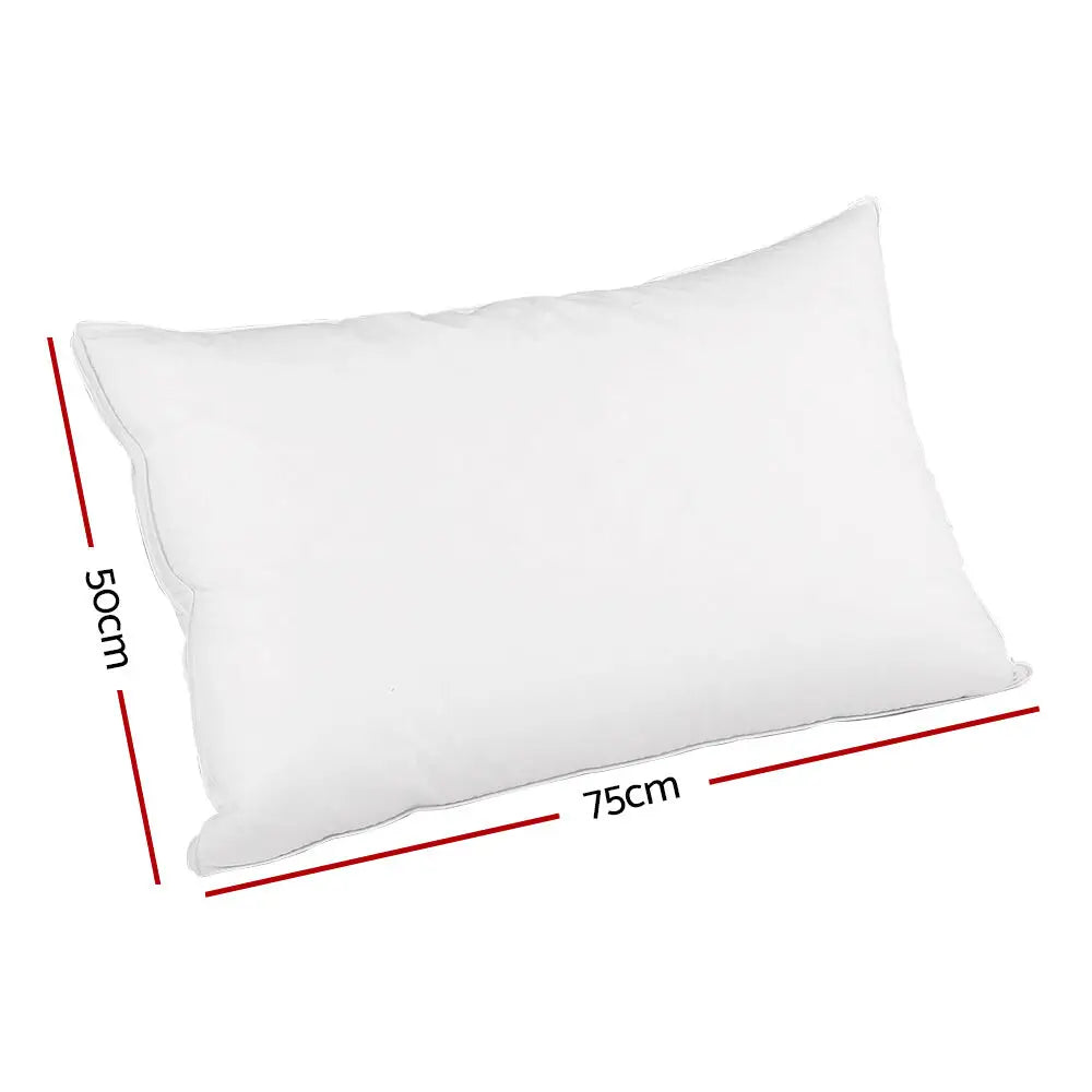 Duck Feather Down Pillow Luxury Twin Pack