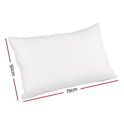 Duck Feather Down Pillow Luxury Twin Pack