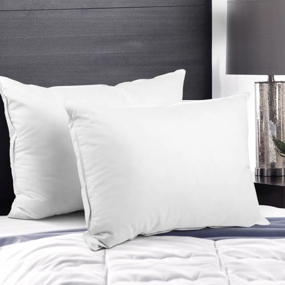 Duck Feather Down Pillow Twin Pack
