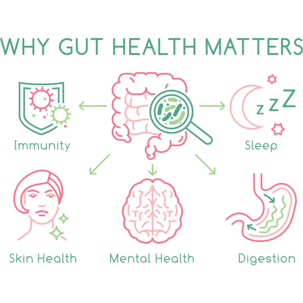 Fossil Shell Flour Powder - Food Grade Diatomaceous Earth | Pink Line-art Illustration Human Intestine