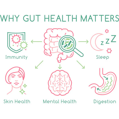 Fossil Shell Flour Powder - Food Grade Diatomaceous Earth | Pink Line-art Illustration Human Intestine