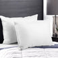 Goose Feather Down Pillow Twin Pack