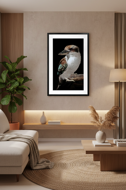 kookaburra wall art framed glass 80x120cm australia