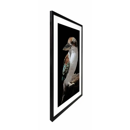 australian wildlife wall decor framed art