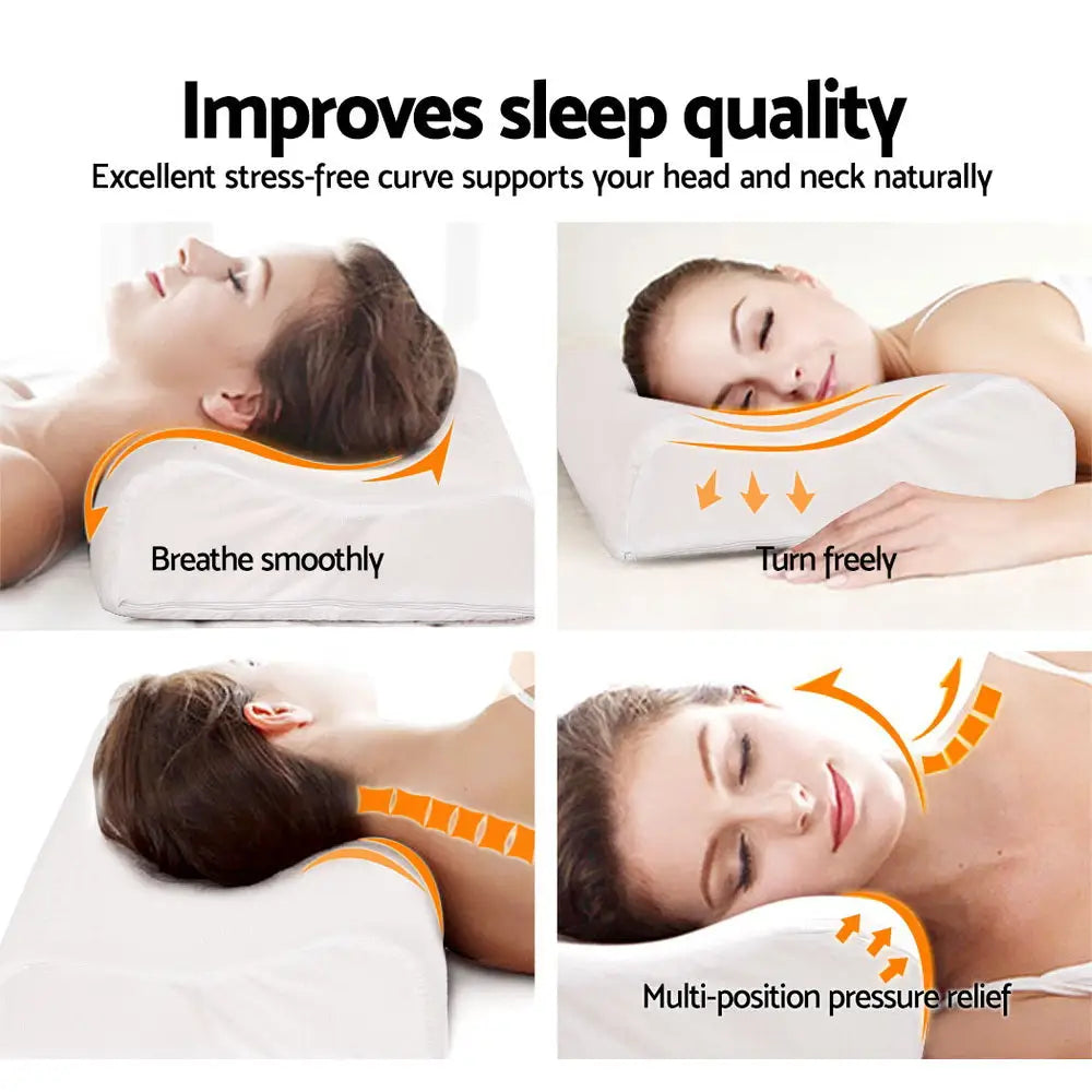 Natural Latex Pillow 2-zone Twin Pack