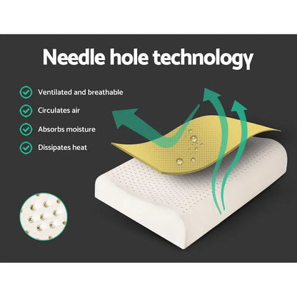 Natural Latex Pillow 2-zone Twin Pack