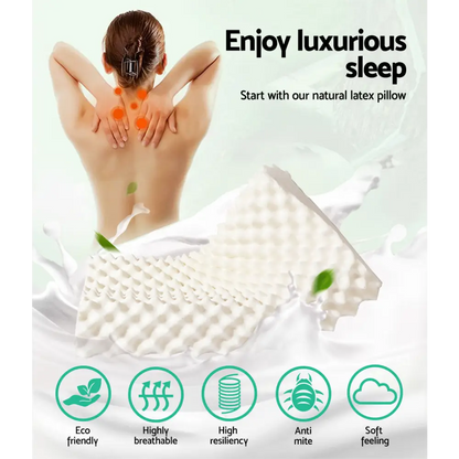 Natural Latex Pillow Twin Pack