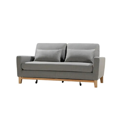 Shasa 2 Seater Pull-out Sofa Bed Grey Celadon