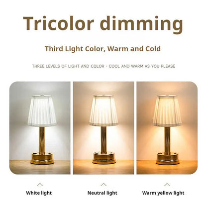 Silver Creative Led Rechargeable Table Lamp | 3 Adjustable Light Modes | Touch Control | Usb Charging | Modern