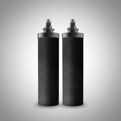 Phoenix Smart Carbon Filter Cartridges - Pack of 2