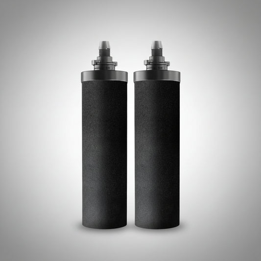 Phoenix Smart Carbon Filter Cartridges - Pack of 2