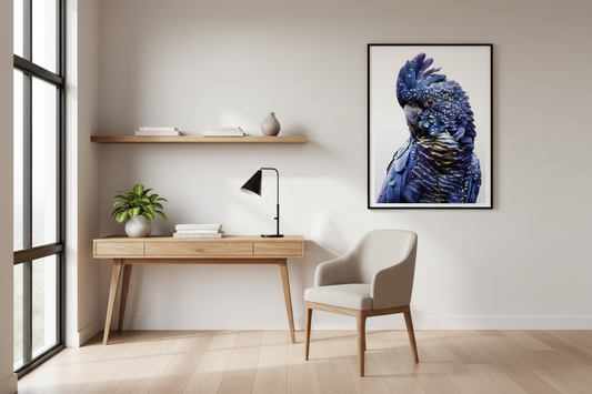 wildlife wall decor australia cockatoo