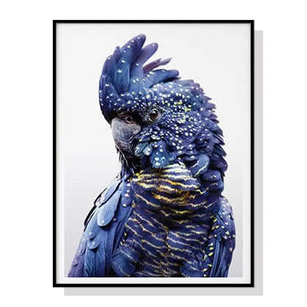 Wall Art 70cmx100cm Black Cockatoo a Frame Canvas